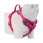 Verified image for post 302237