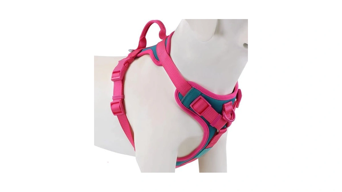 Verified image for post 302237