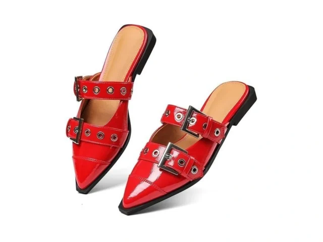 Grakihily Buckle Flats For Women Pointy Toe Wide… Code