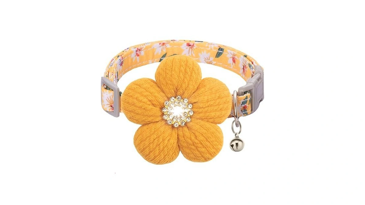 Verified image for post 302509