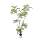 Verified image for post 302683