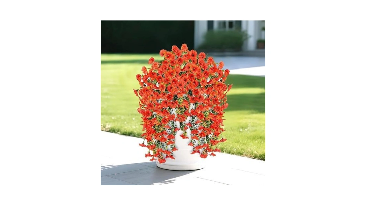 Verified image for post 302767