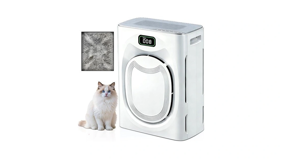 Verified image for post 303003