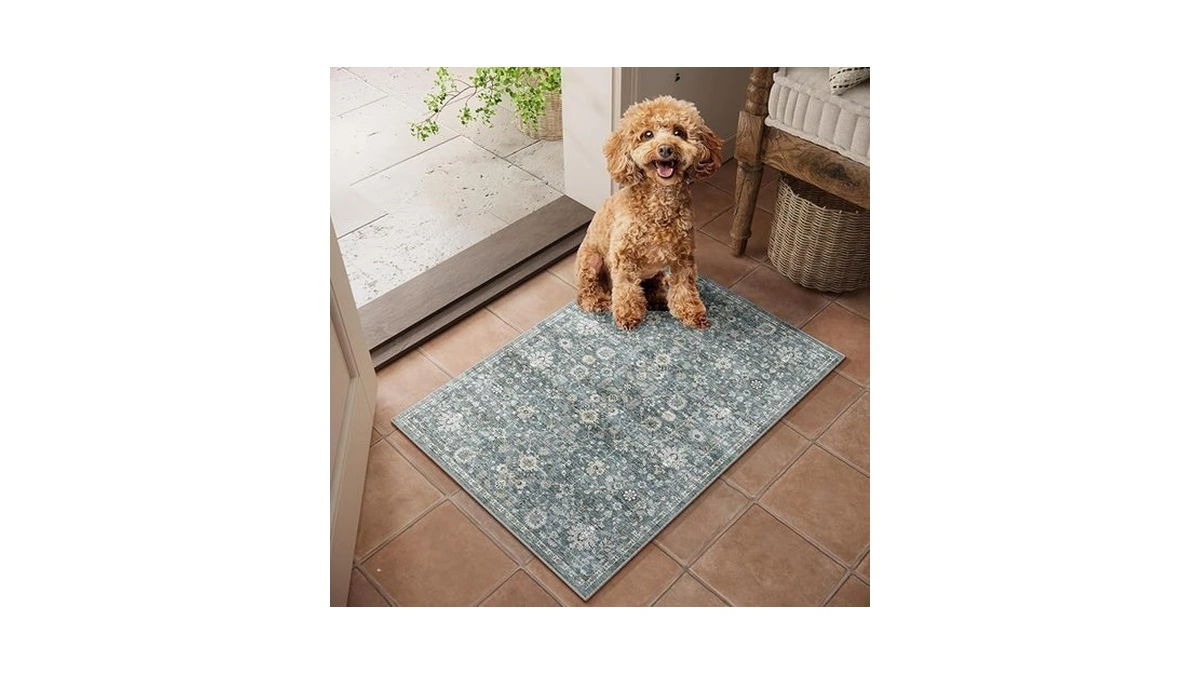 Verified image for post 303077