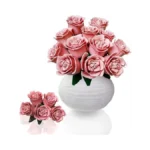 Verified image for post 303185