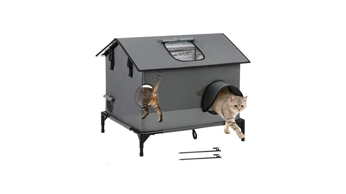 Verified image for post 303189