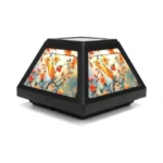 Verified image for post 303241