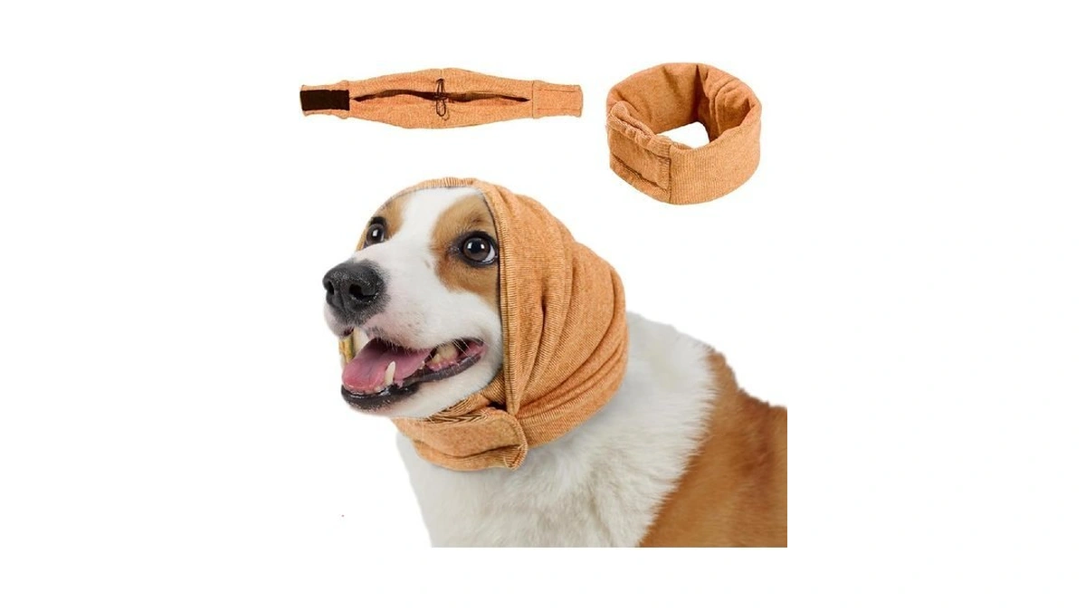 Verified image for post 303429