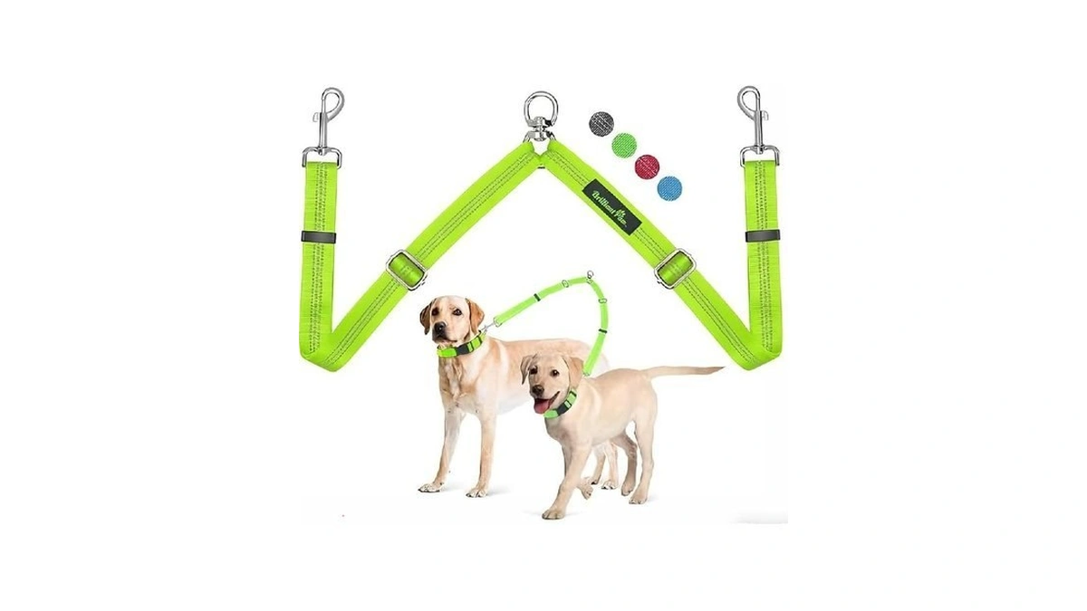 Verified image for post 303489