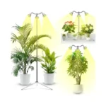 Verified image for post 303593