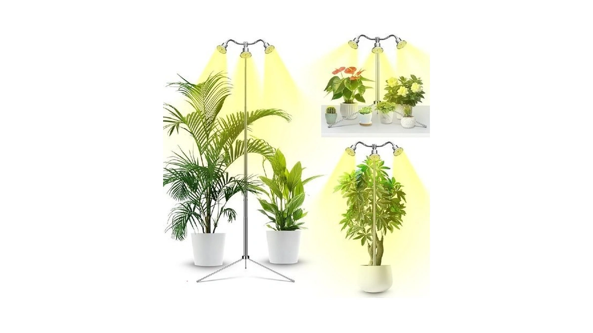 Verified image for post 303593