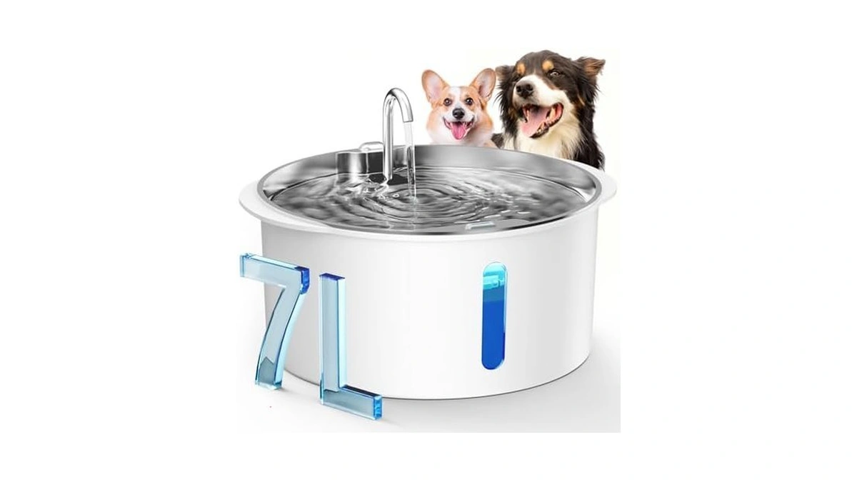 Verified image for post 303615