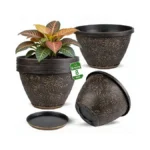 Verified image for post 303972