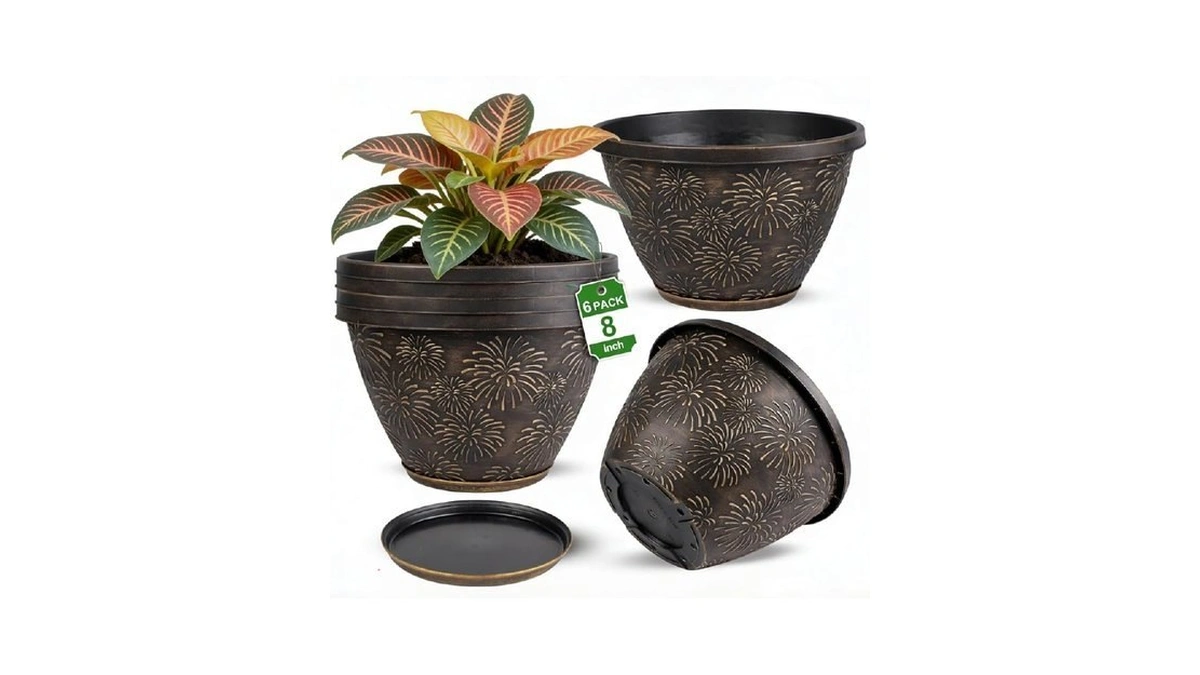 Verified image for post 303972