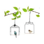 Verified image for post 304106