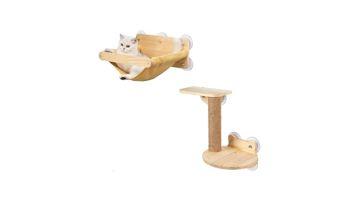 Verified image for post 304138