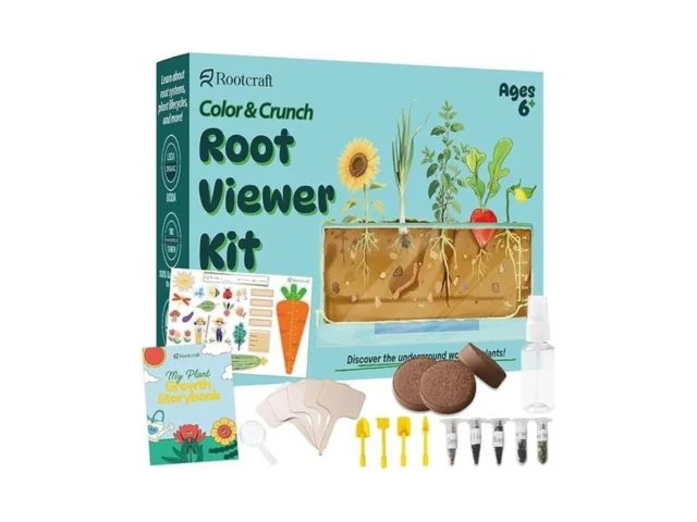 Root Viewer Kit For Kids – Science Stem Toys With… Code