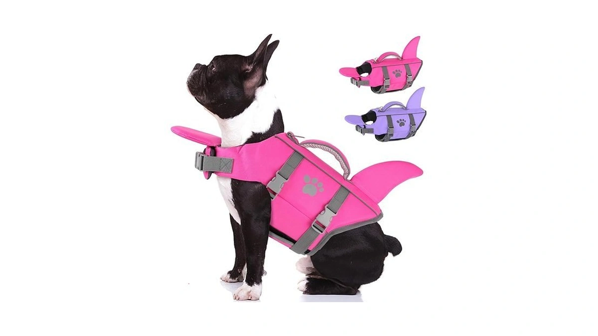 Verified image for post 304508