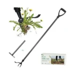 Verified image for post 304732