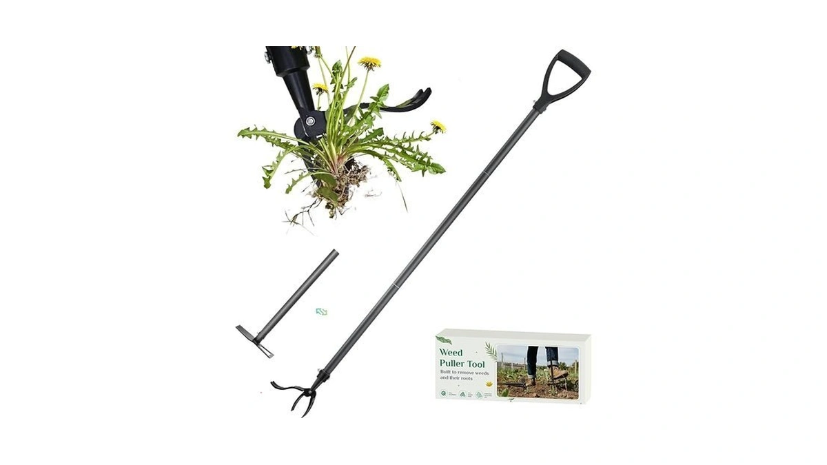 Verified image for post 304732