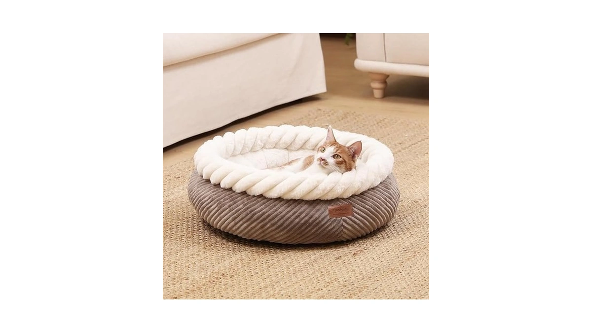 Verified image for post 304944