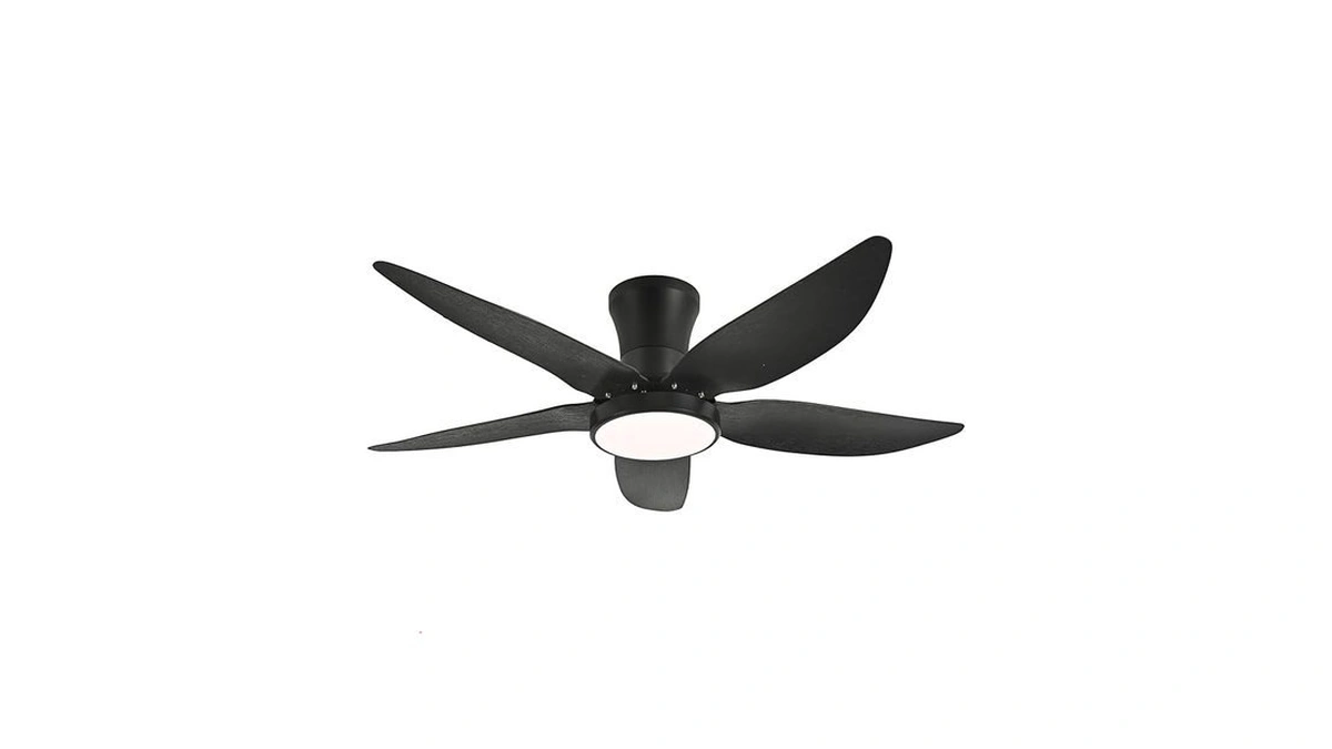 Verified image for post 305064