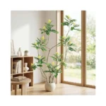 Verified image for post 305124