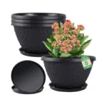 Verified image for post 305258