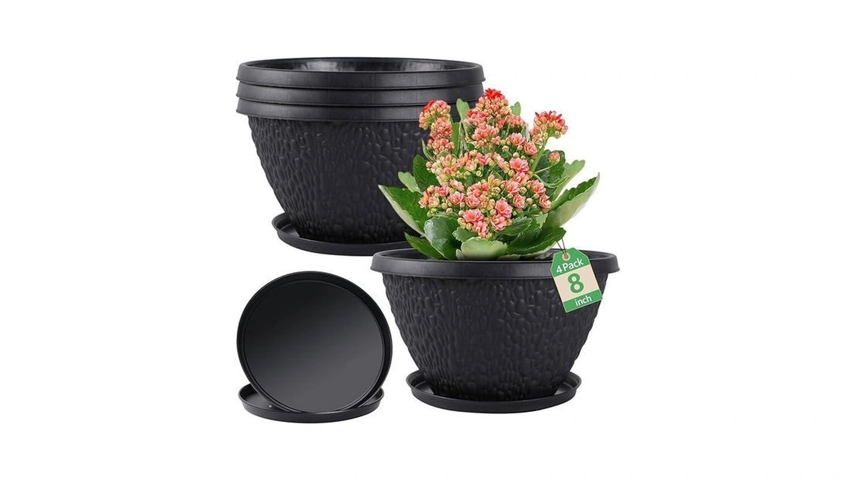 Verified image for post 305258