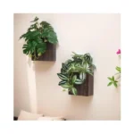 Verified image for post 305322