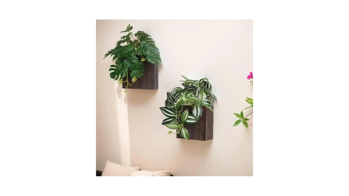 Verified image for post 305322