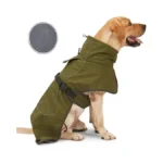 Verified image for post 305438