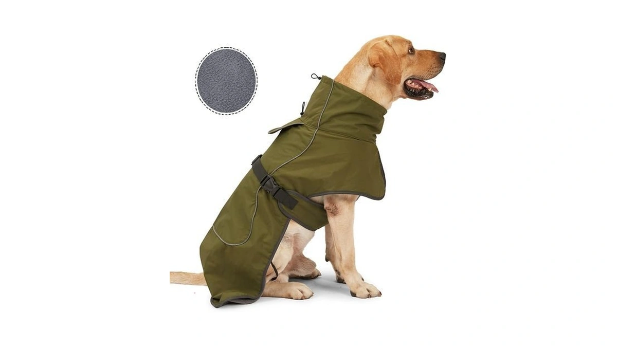 Verified image for post 305438