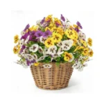 Verified image for post 305624