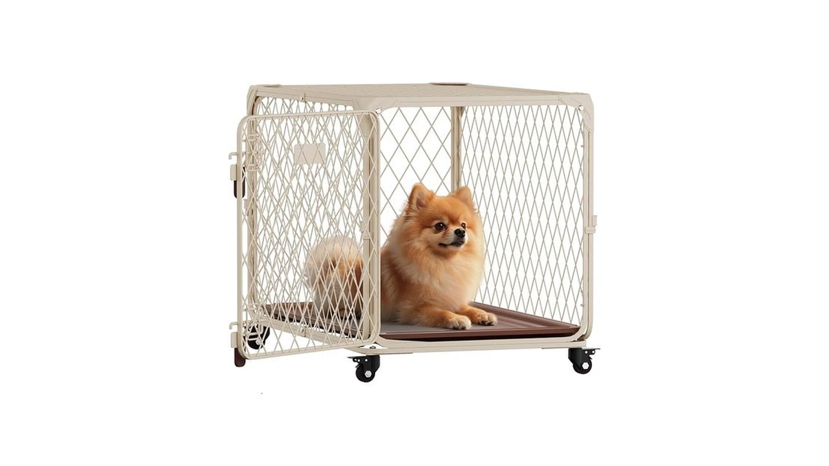 Verified image for post 305648