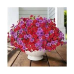 Verified image for post 306144