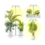 Verified image for post 306318