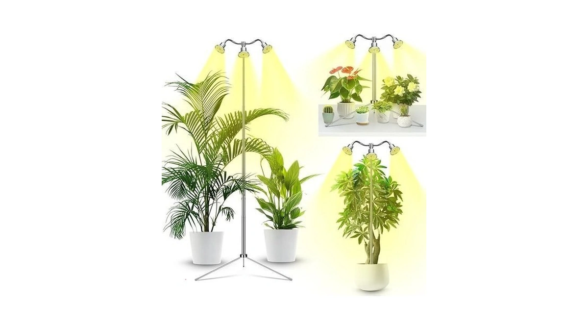 Verified image for post 306318