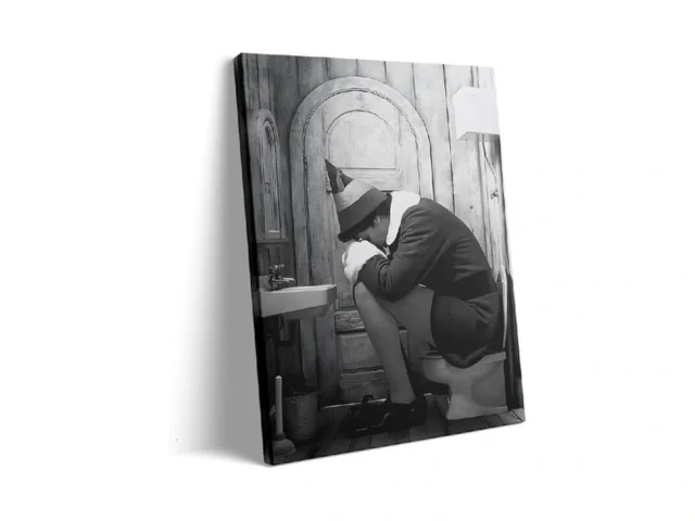 Vyperock Funny Framed Canvas Wall Art Bathroom… Code