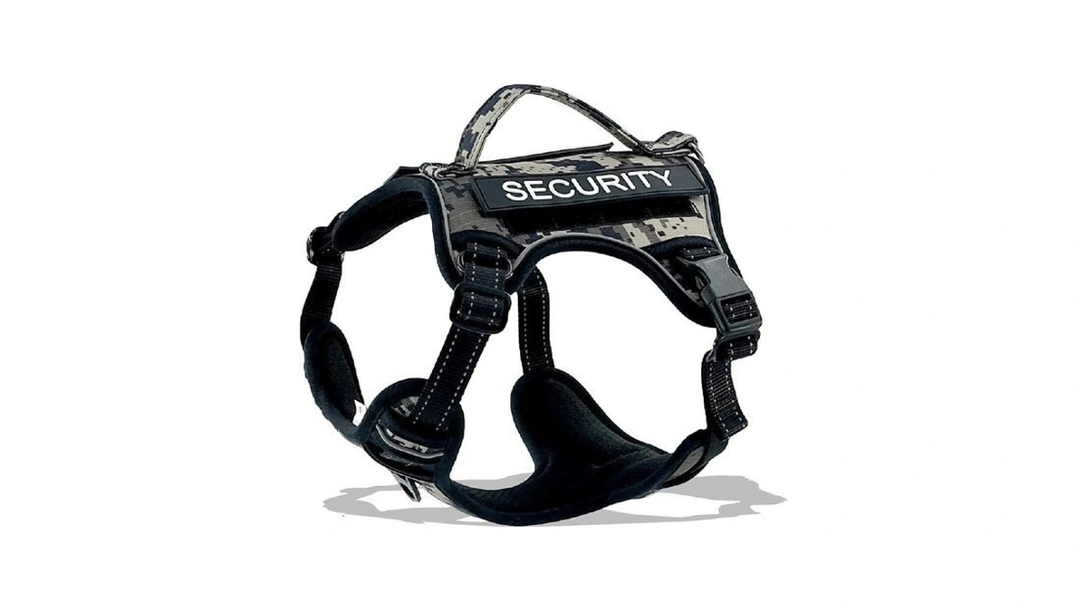 Verified image for post 306436