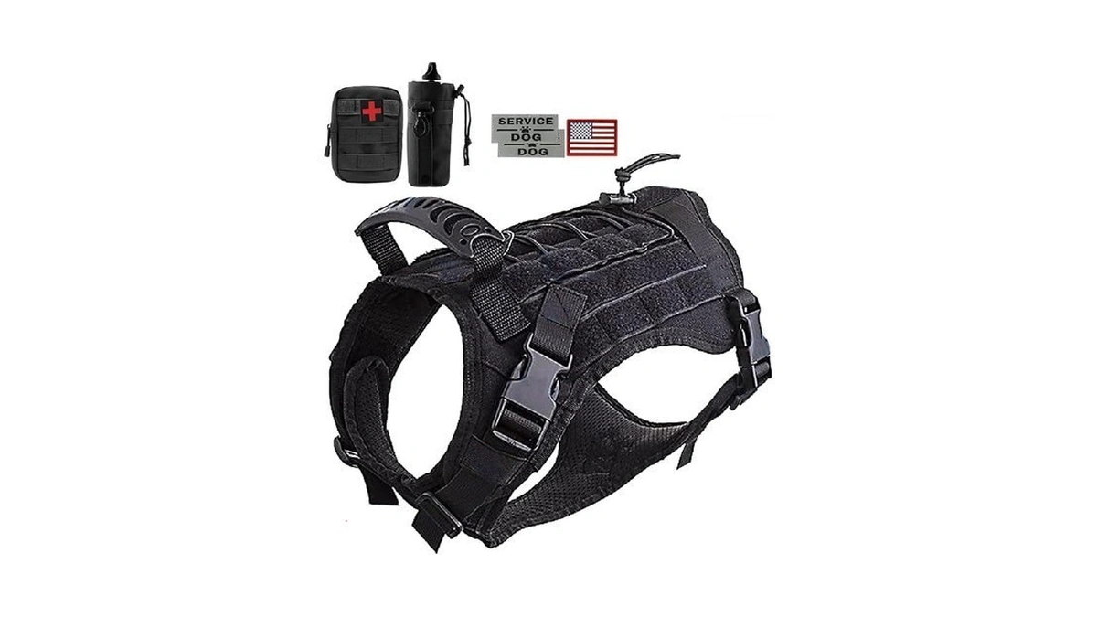 Verified image for post 306474