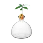 Verified image for post 306506