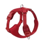 Verified image for post 306572