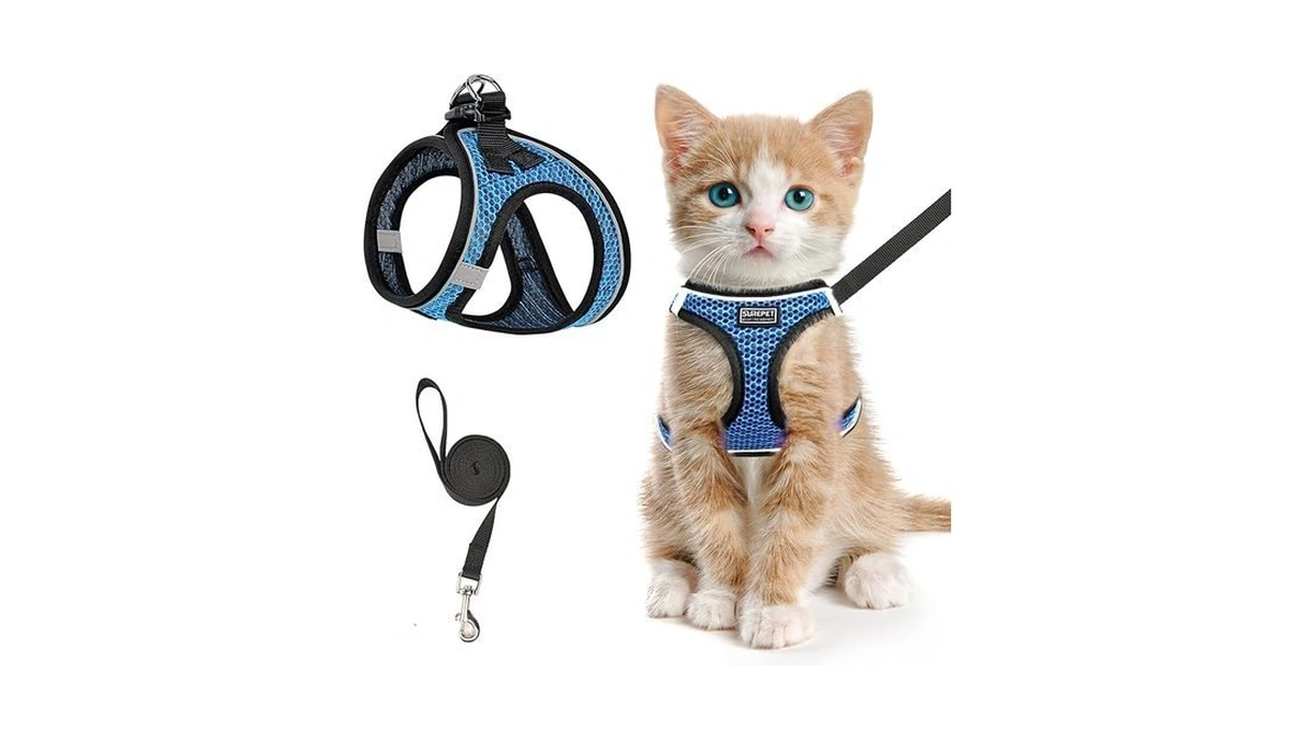 Verified image for post 306660