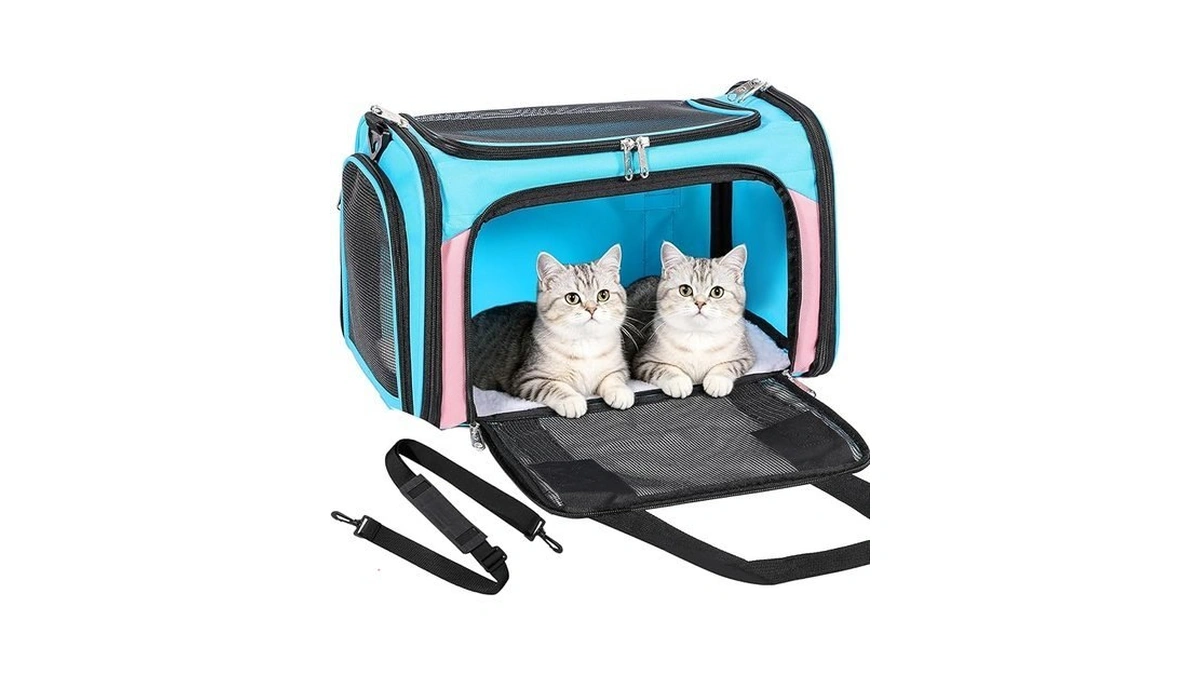 Verified image for post 306752