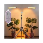 Verified image for post 306894