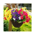 Verified image for post 306896