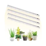 Verified image for post 306966