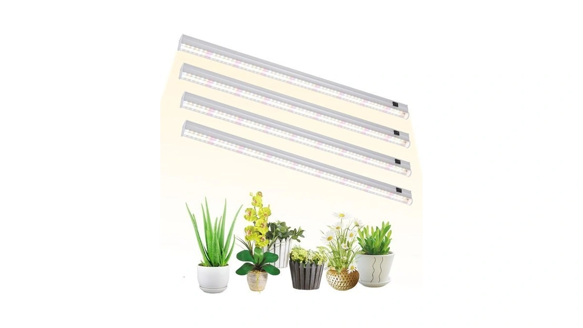 Verified image for post 306966