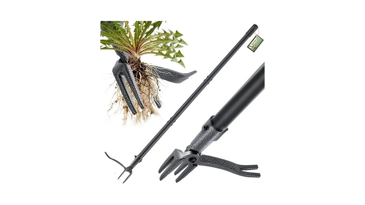 Verified image for post 307014